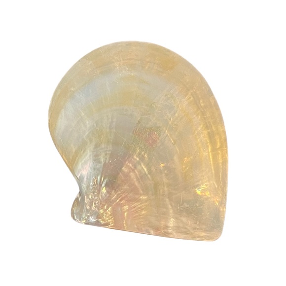 🎁 Handmade Mother Of Pearl Caviar Serving Set - Picture 10 of 10